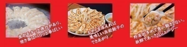 浜松餃子 有名